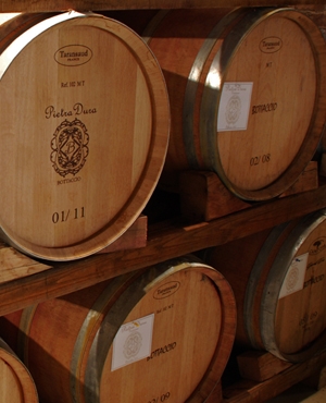 Azienda Bottaccio - Produzione